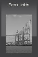 exportacion